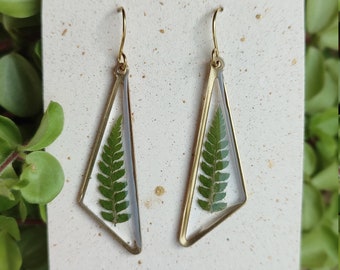 Brass and dried fern earrings