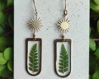 Brass sun and fern earrings