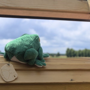 Realistic Frog plushie