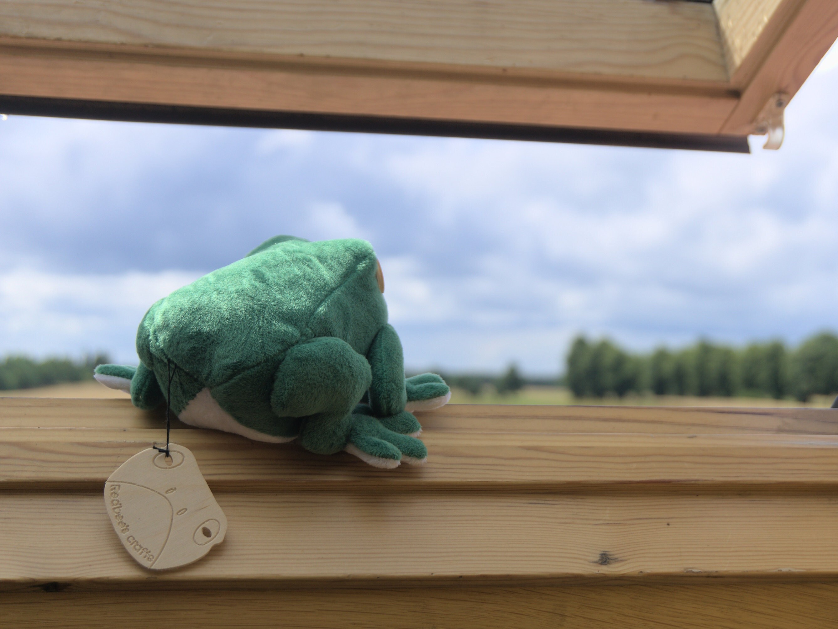 Plush Toy, Frog Toad Frog Toad, Big Size, in Felt, Felt, Handmade 