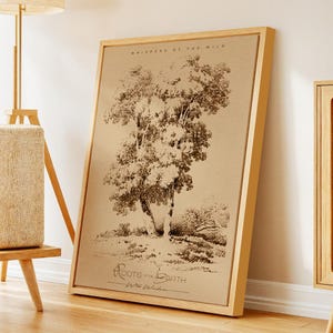 Detailed Tree Landscape Drawing with Rustic Sepia Tones – Framed and Wrapped Canvas