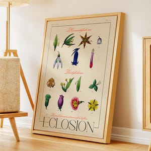 French Botanical Print: Vintage Floral Anatomy Study - Framed Canvas