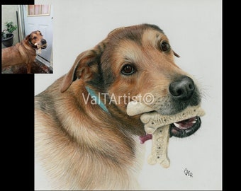 May include: A detailed pencil drawing of a brown and tan dog with a blue collar. The dog is holding a bone in its mouth with the words "Milk Bone" and "I Love Bone" written on it.