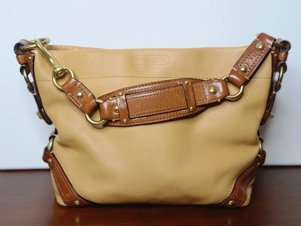 Coach Carly Leather Hobo Bag