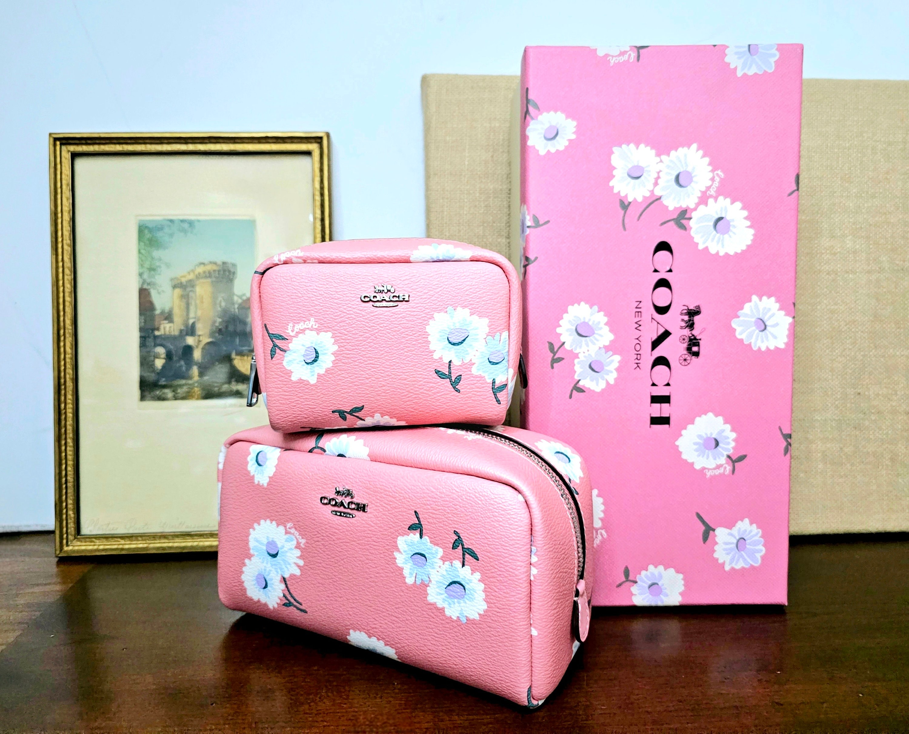 Boxy cosmetic case coach sale