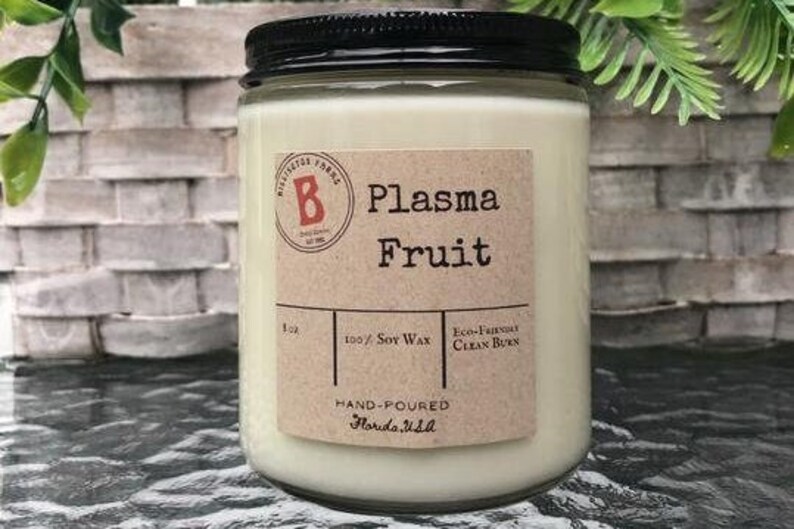 Plasma Fruit the Sims Inspired 100 Soy Wax Sweet Citrus Etsy