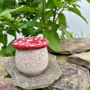 Puede incluir: Un recipiente de cerámica con forma de hongo con una tapa roja y blanca con lunares. El recipiente tiene un cuerpo moteado de color blanquecino. El hongo se encuentra sobre una pila de piedras grises, con follaje verde en el fondo.