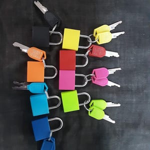 Op de afbeelding: Assortiment van kleurrijke hangslotjes met sleutels. De hangslotjes zijn in verschillende kleuren, waaronder rood, blauw, groen, geel en oranje. De sleutels zijn zilverkleurig.