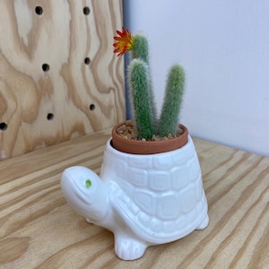 Vintage Ceramic Turtle Planter: Whimsical Boho Shelf Decor