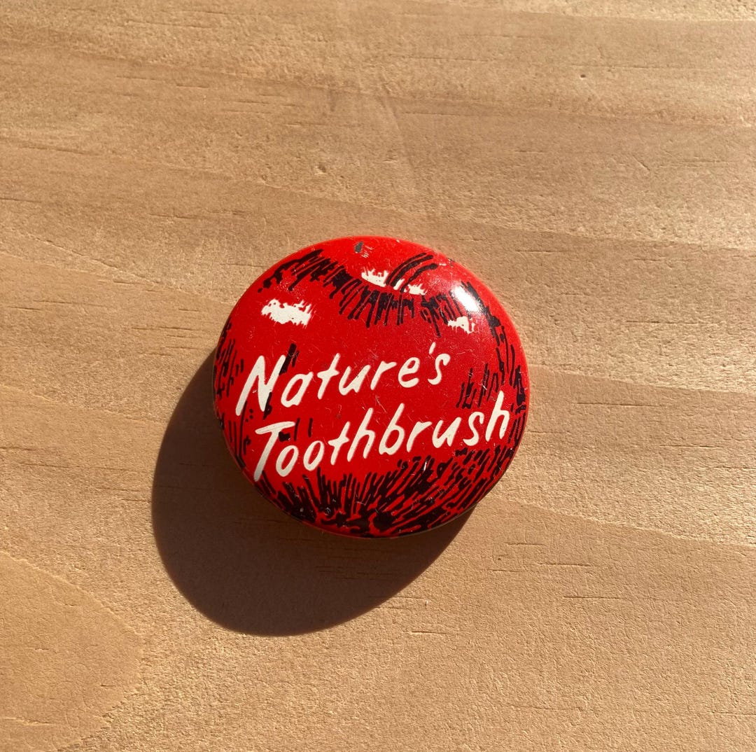 Toothbrush Pin Vintage 'nature's Toothbrush' Apple Pin - 1980s Retro Red Button - Etsy