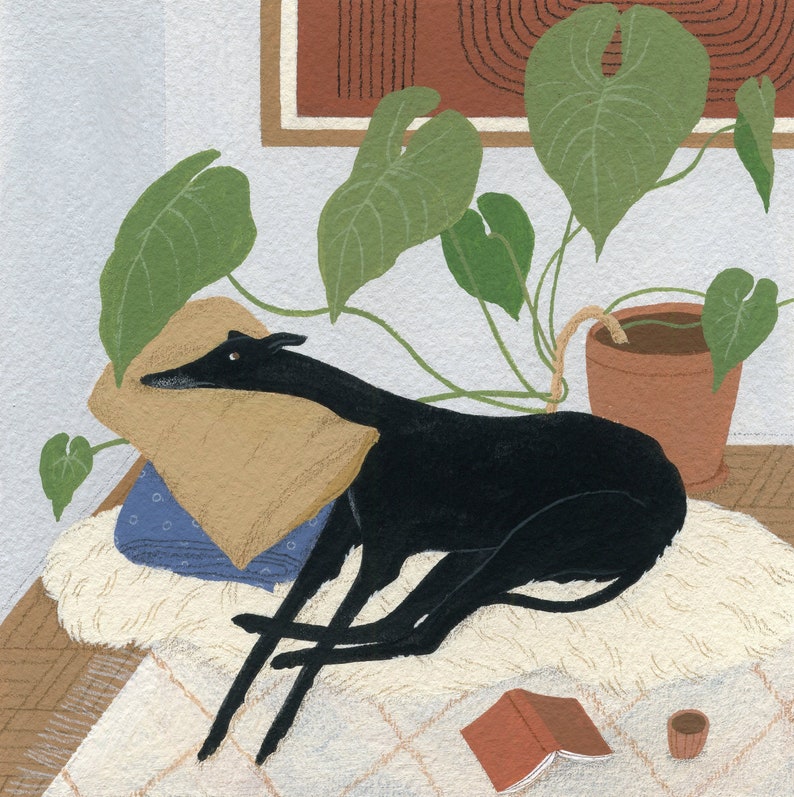 May include: A black dog with a brown pillow resting on a white rug with a potted plant and a book in the background.