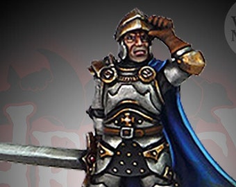 Caballero Paladín - Sir Godric - Miniatura de Fantasía a Escala Heroica de 28 mm