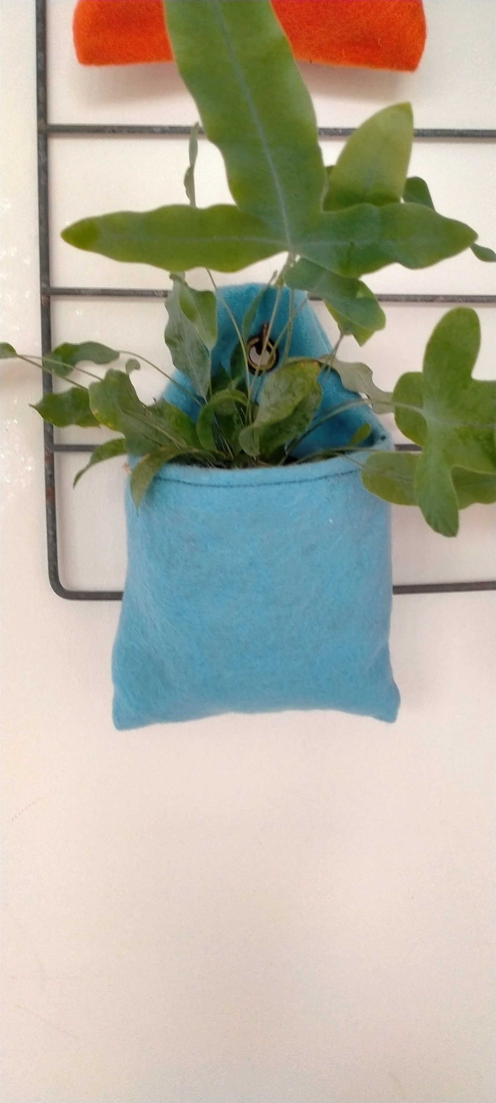 Upcycled felt plant pocket eco friendly gift indoor planter Etsy