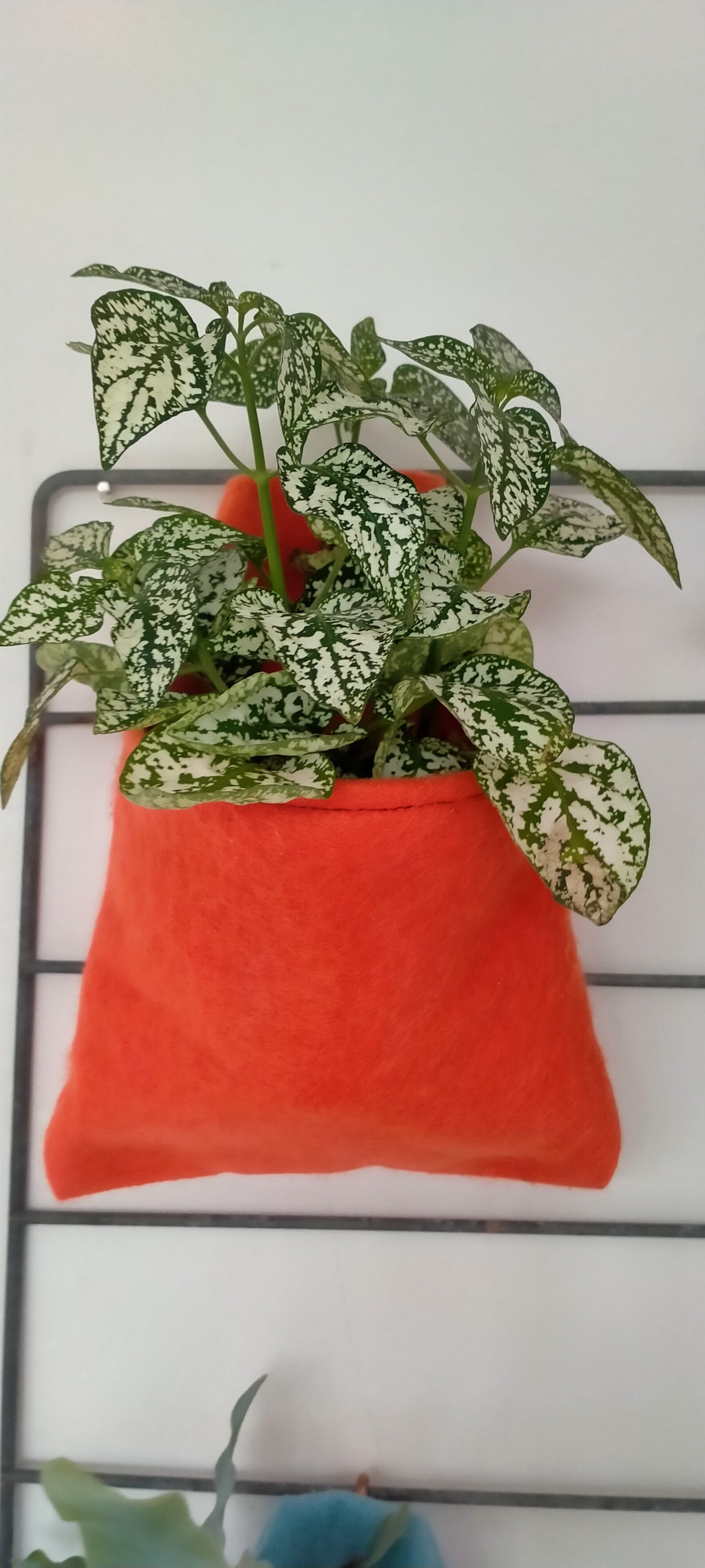 Upcycled felt plant pocket eco friendly gift indoor planter Etsy