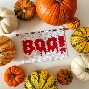 PDF | かぎ針編みの BOO 壁掛けパターン | ハロウィーンの室内装飾 | タペストリー | インターシャ
