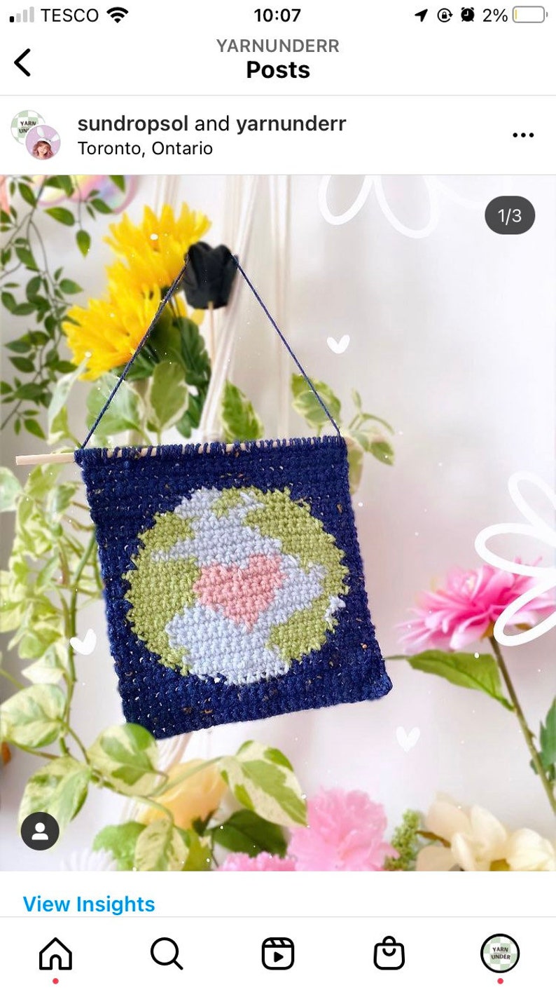PDF Crochet Mini Earth Day Wall Hanging Pattern Home Decor Tapestry Intarsia image 9