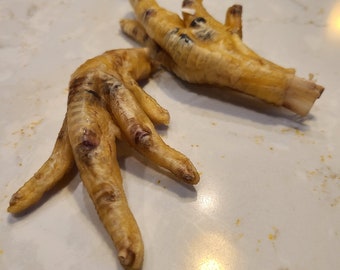 Dehydrated Chicken Feet Dog Treats