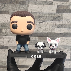 Custom Pops, Personalized Pop image 9