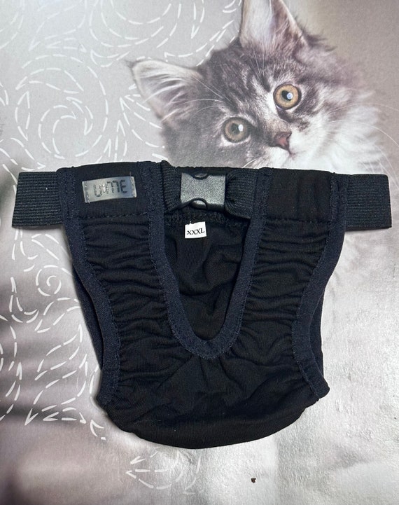 Washable Cat Diaper Pull-up, Cat Stud Underwear, U:ME Pets Clothe 