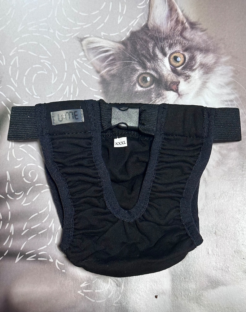 Washable Cat Diaper Pull-up, Cat Stud Underwear, U:ME pets clothe Black