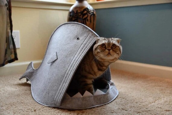 thumbnail image 2 of Aazon.co : JIALOE Cozy Cat Bed And Cave For Indoor Cats - Peekaboo 2 of 13