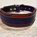 see more listings in the Collars & Leashes section