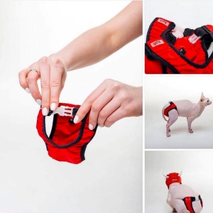 Pañal lavable para gatos, ropa interior para gatos, ropa para mascotas U:ME imagen 1