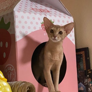 Cat House-Scratcher, Cardboard Box Cat Milk shape image 4