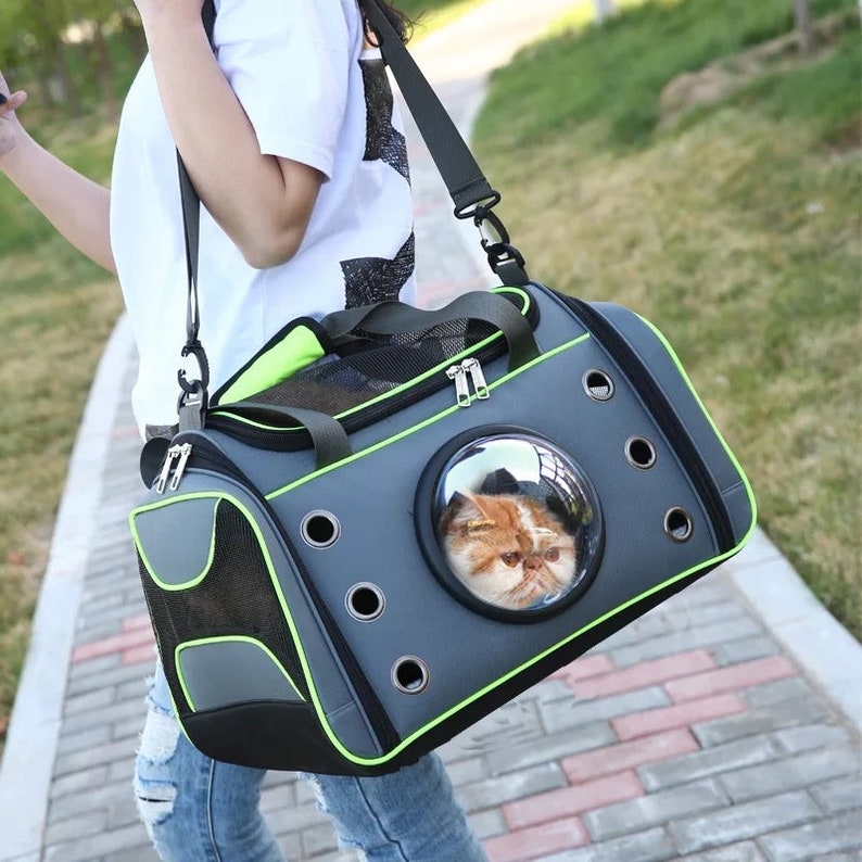 medium sized pet carrier