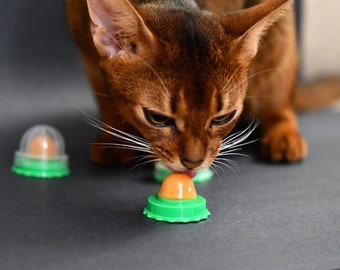 Healthy Cat Snacks 3 Pac, Catnip, Cat Energy Ball, Cat’s Nutritional