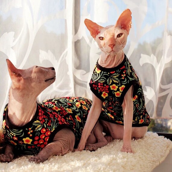 T shirt de v tements de chat tee shirt pour chat Sphynx