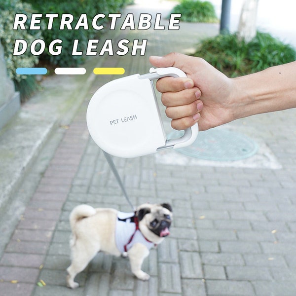 Portable dog automatic leash with retractable handle