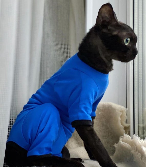 Cat jammies hot sale