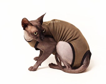 Wasbare kattenluier, Cat Stud Suit, maakt poepen in de kattenbak mogelijk, U:ME huisdieren dichtbij