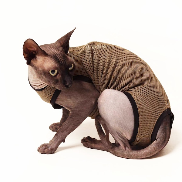 Washable Cat Diaper, Cat Stud Suit, Allows for Defecating in Litter Box, U:ME pets close