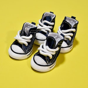 Dog hotsell sneakers nike