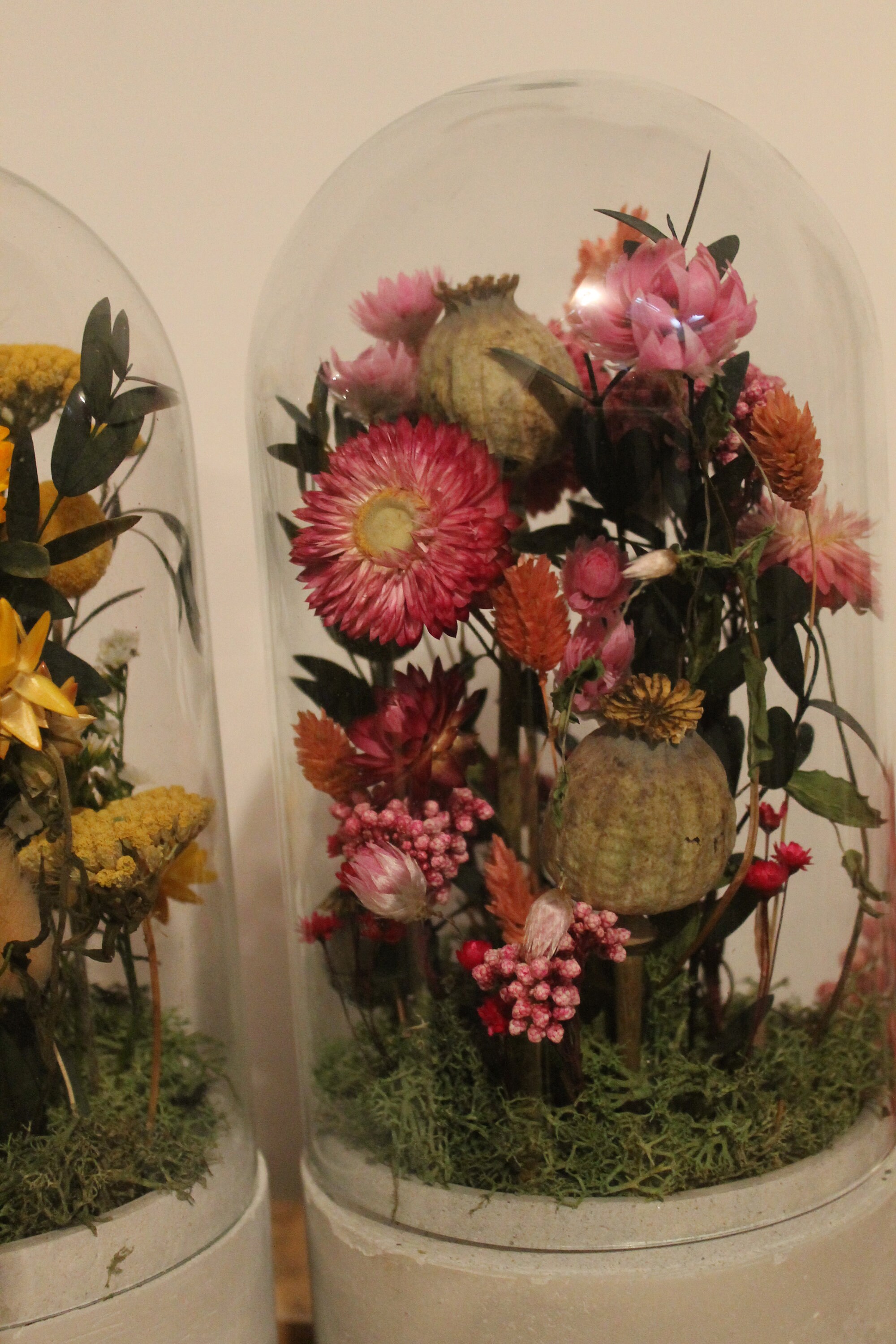 Cloche Fleurs Séchées