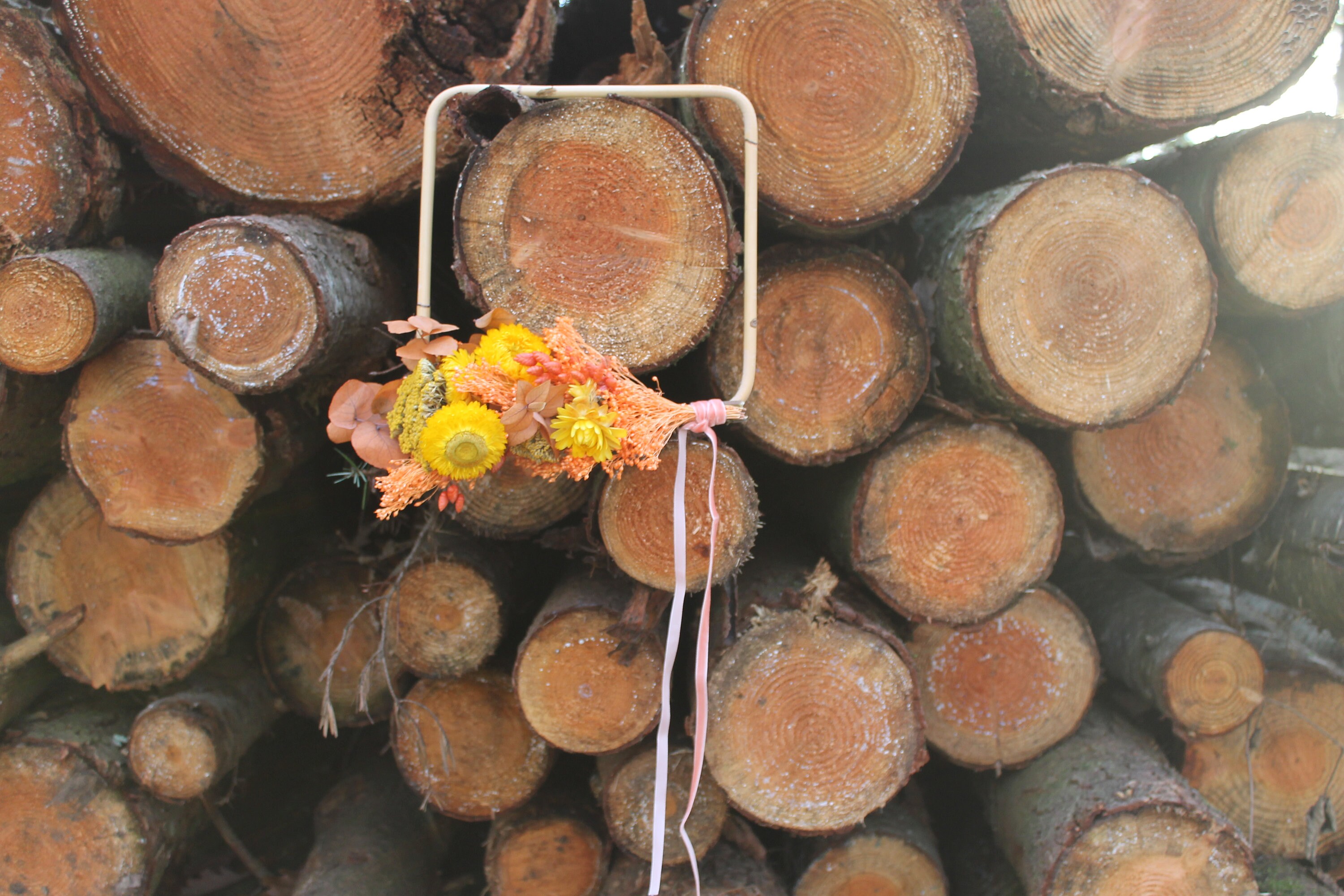Carré Fleurs Séchées