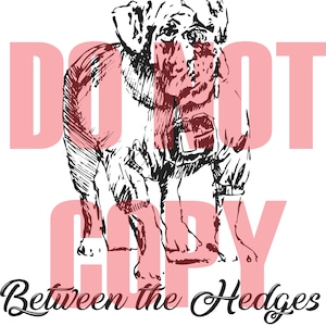 Between the hedges UGA sketch svg, pdf, png, dxf