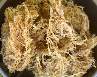 Raw Wildcrafted Irish Sea Moss