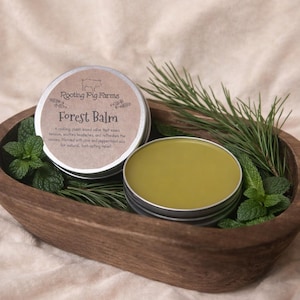 Könnte beinhalten: Zwei offene Dosen Forest Balm, eine pflanzliche Salbe, liegen in einer Holzschale mit Minze und Kiefernzweigen. Der Balsam hat eine hellgrüne Farbe. Die Dose links hat ein Etikett mit der Aufschrift "Rooting Pig Farms" und "Forest Balm".
