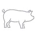 RootingPigFarms