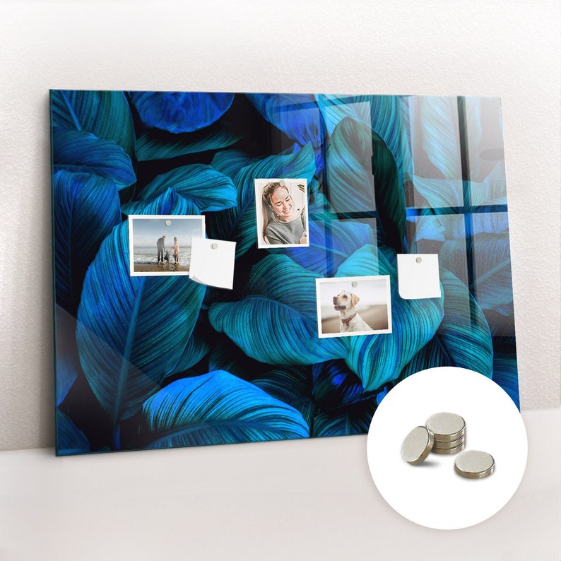 Tableau d'affichage nature tropicale, grand tableau magnétique, babillard bleu, motif nature image 1