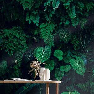Fiula Tropical Palm Wallpaper Rainforest Leaves Wall Paper Jungle Wallpaper  Self Adhesive Wallpaper Peel and Stick Wallpaper Green Wallpaper Removable  Wallpaper Vinyl Jungle Wallpaper 17.7”×78.7” 