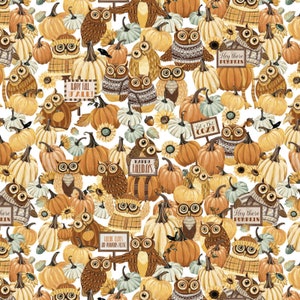 May include: A seamless pattern featuring owls and pumpkins in various shades of orange, brown, and white. The owls are depicted with large, round eyes and have a whimsical, cartoonish style. The pumpkins are arranged in a variety of sizes and shapes, with some featuring intricate details like leaves and stems. The background is a white canvas, creating a vibrant and festive atmosphere.