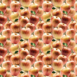 Gala, Red and Yellow Apples, Apple Orchard by Camelot Fabric, CAM21231105-01