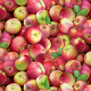McIntosh Apples, Food Festival, Elizabeth Studio