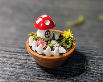 May include: A miniature fairy garden scene in a small brown pot. It features a red and white mushroom house, a white picket fence, small flowers, and moss. The scene is set on a dark, textured surface.