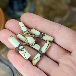 May include: A collection of miniature, rolled scrolls tied with brown twine, resting in an open hand. The scrolls have a parchment-like appearance with slightly browned edges. The background is blurred, suggesting a natural setting.