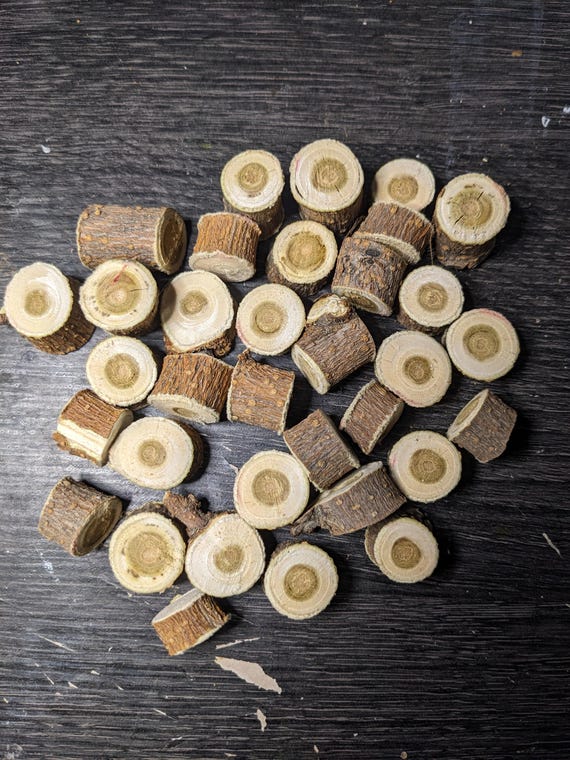 Mini Wood Stumps for Fairy Garden 18 PCS | Miniature Fairy Garden Furniture | Rustic Dollhouse Accessories | Mini Wood Slices